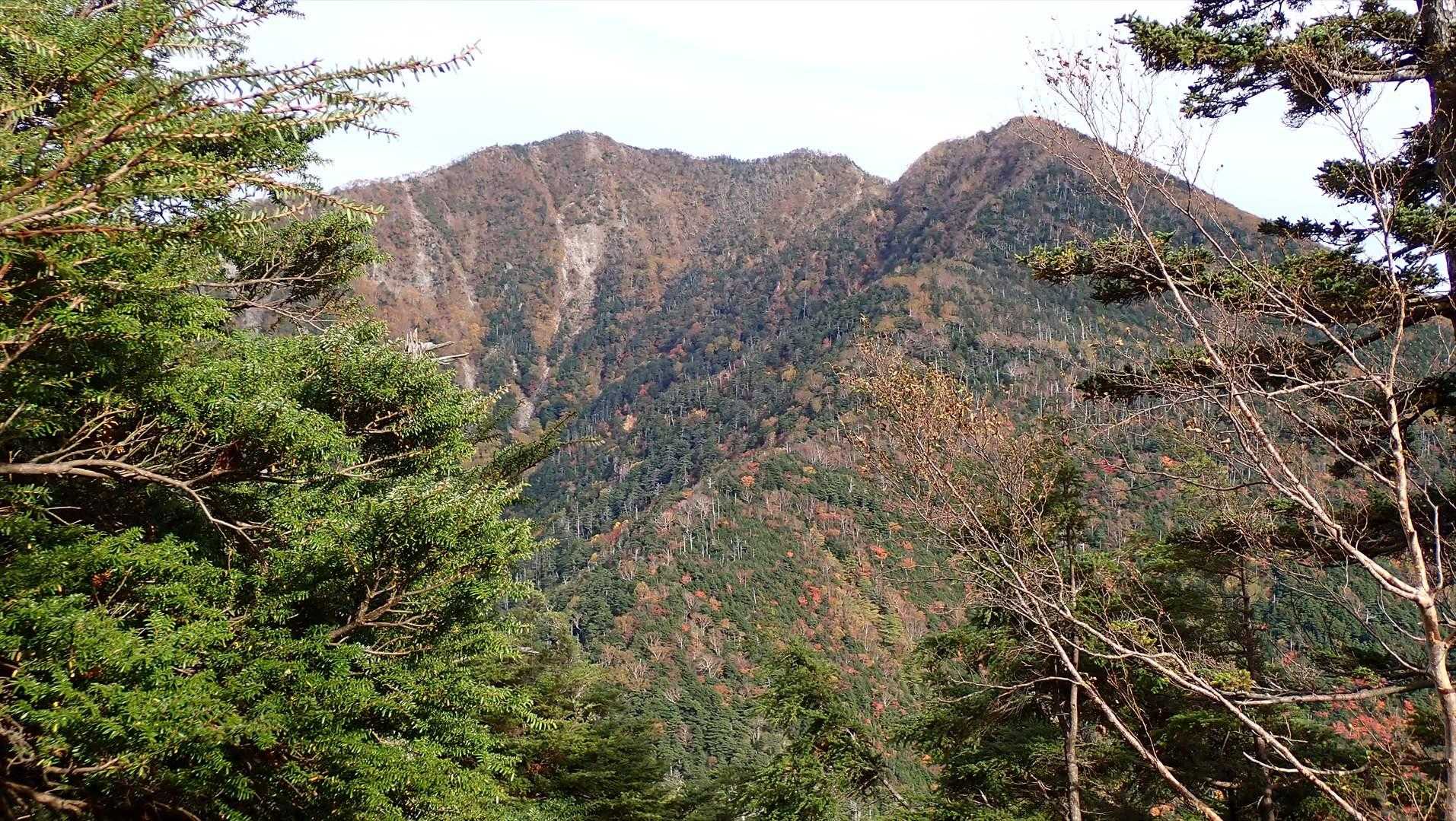 ズーム　小太郎山迄長く続く尾根　登る時見えなくて良かったのかもしれません