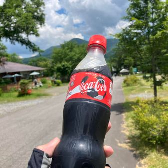 下山後、暑くて自販機に吸い込まれた。
コーラで生き返った🥤