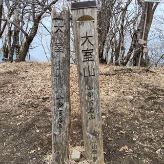 県境だから山梨百名山にも入っている。