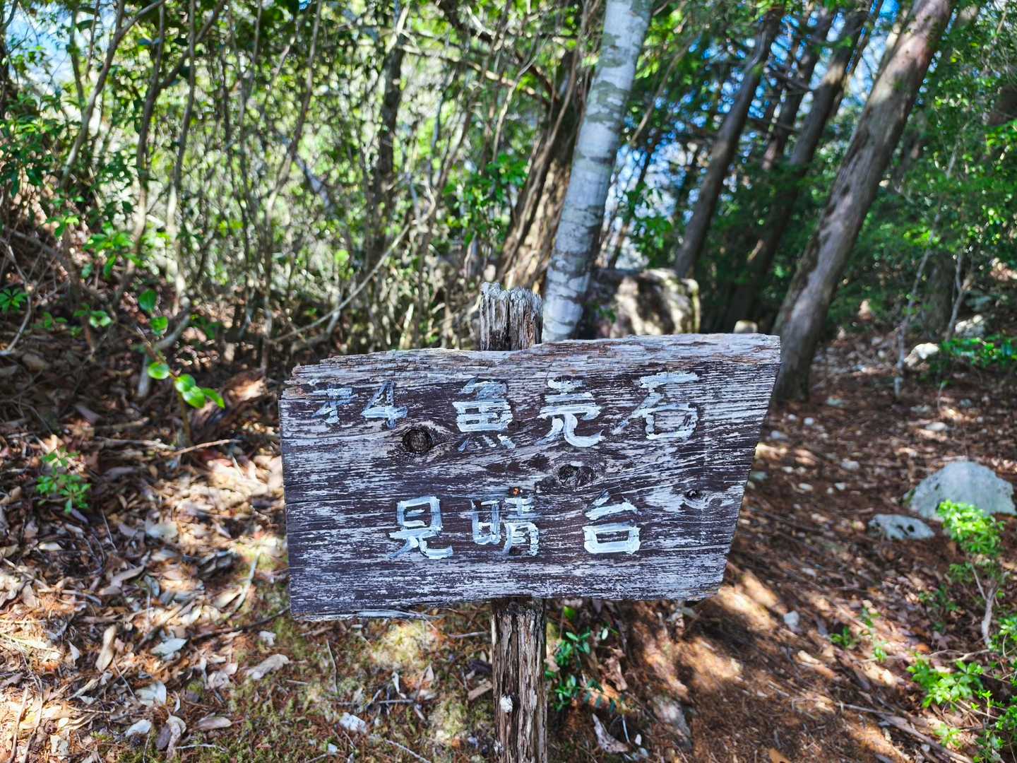 魚売石見晴台