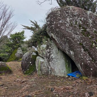 え((( ；ﾟДﾟ)))