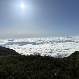 雲海みれたよ