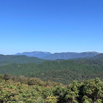 右から竜ヶ岳、藤原岳、御池岳