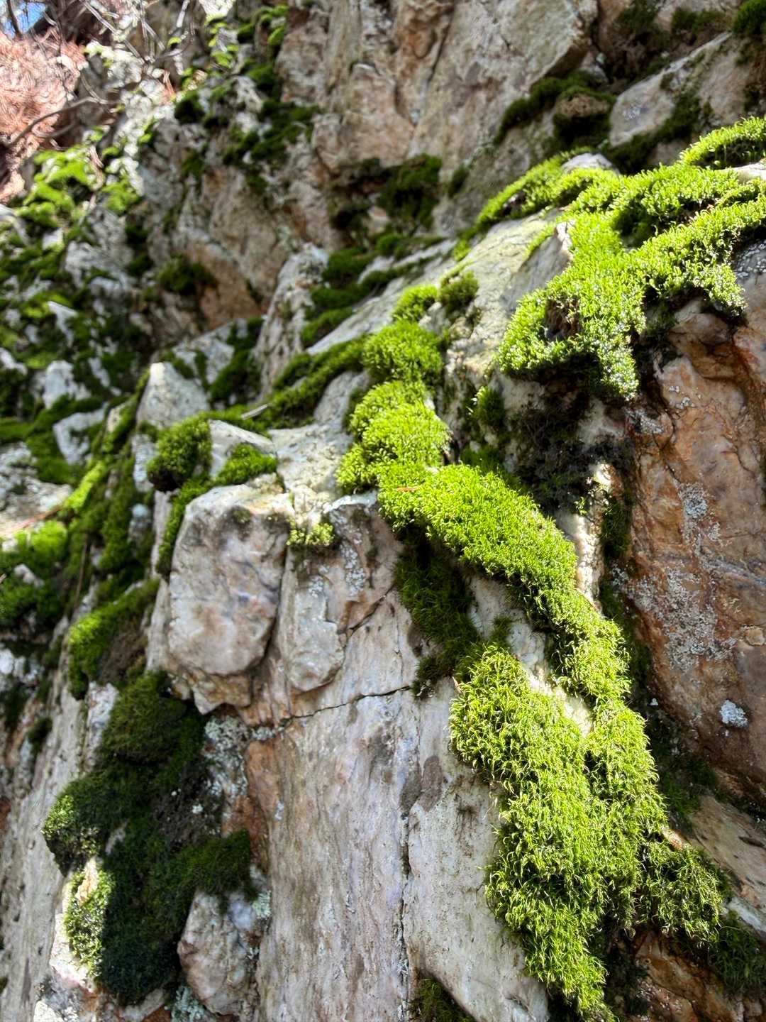 観音堂登山口-五の山-清水山-剣爾山-鳳翔寺登山口 縦走コースの写真