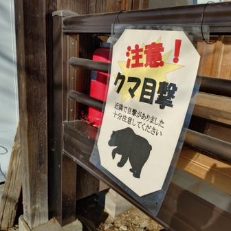 むむ…居るの？
猫の見間違えでは…？😅