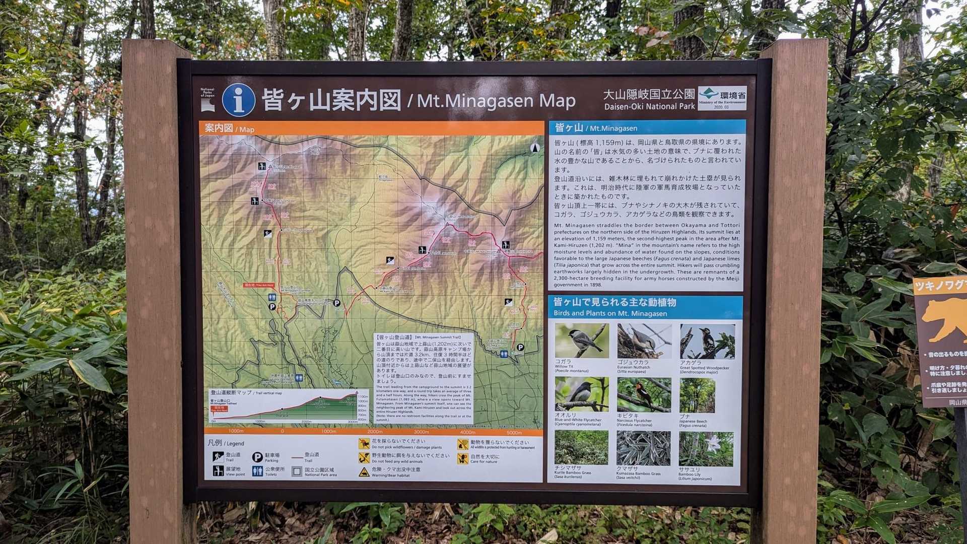 登山口があります
