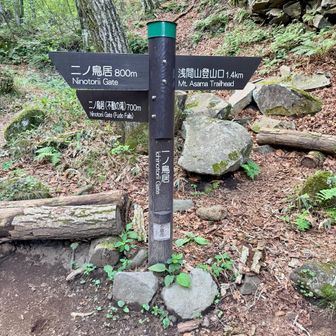 後で合流する分岐。
登りは不動滝方面で。