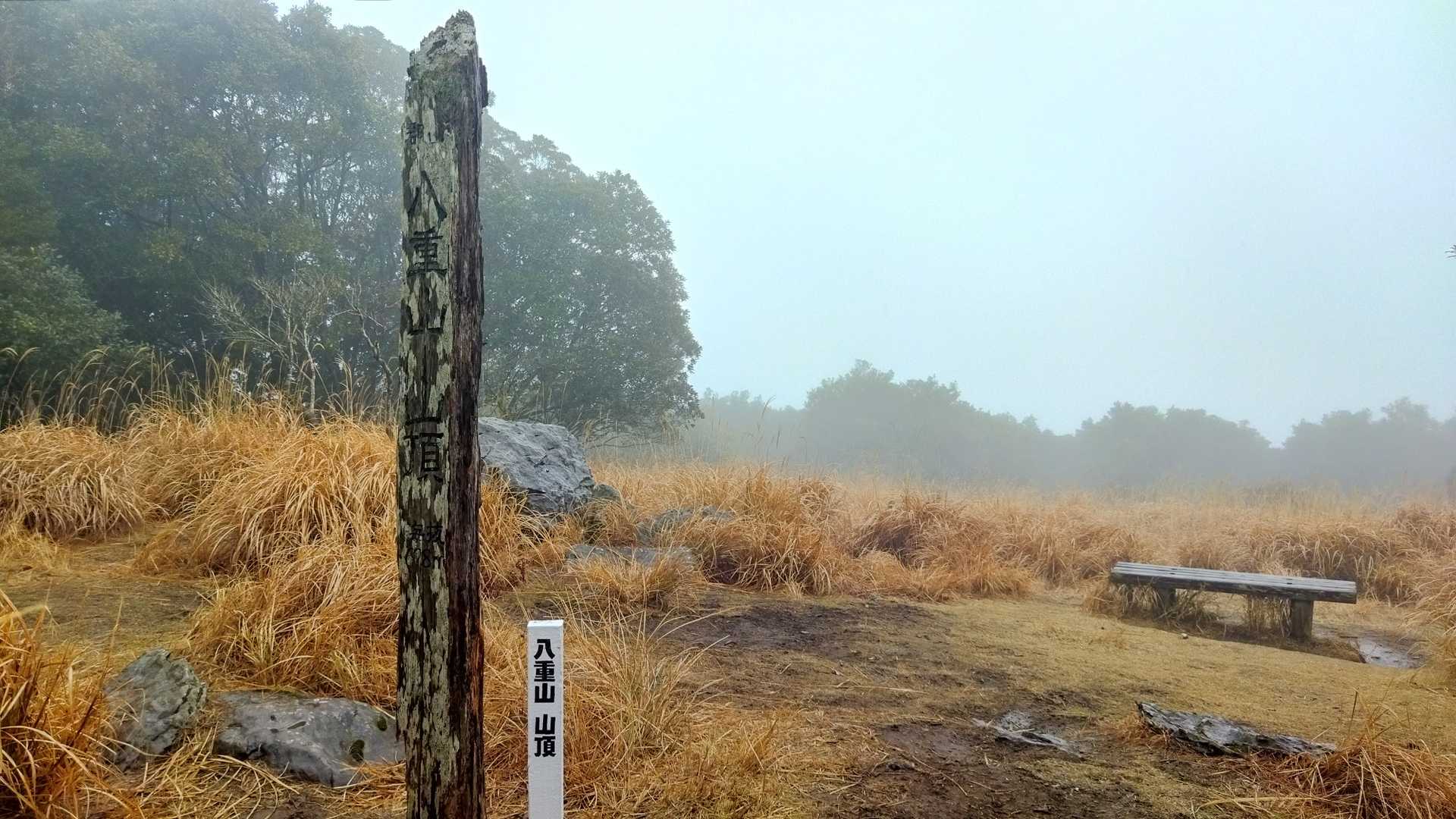 分かってはいたけれど、眺望ゼロ