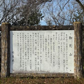 物見山の説明