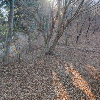 林道に接しますが、山道は右へ折れていきます