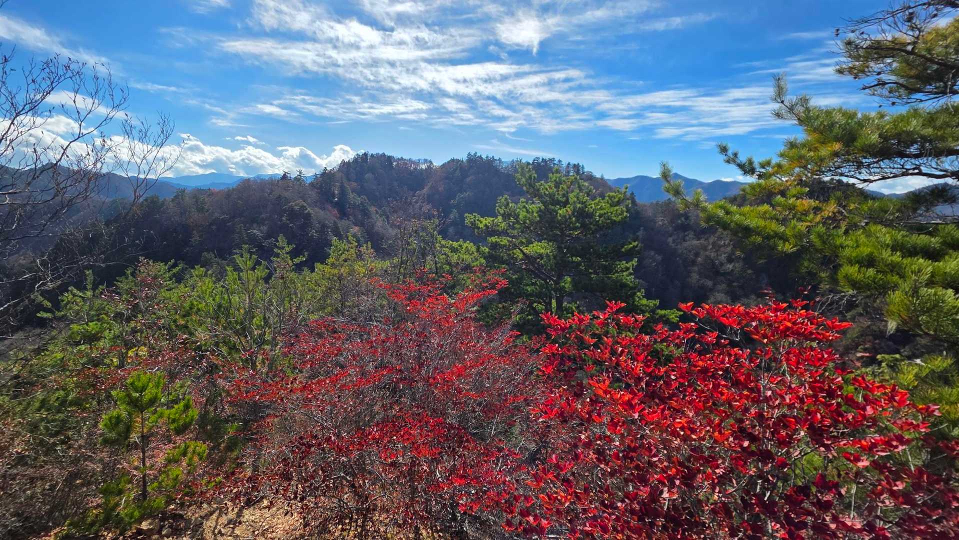諏訪山