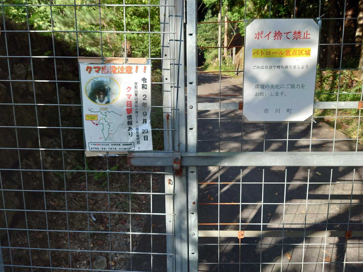 熊はいなかったけど、いっぱい鹿🦌見た。