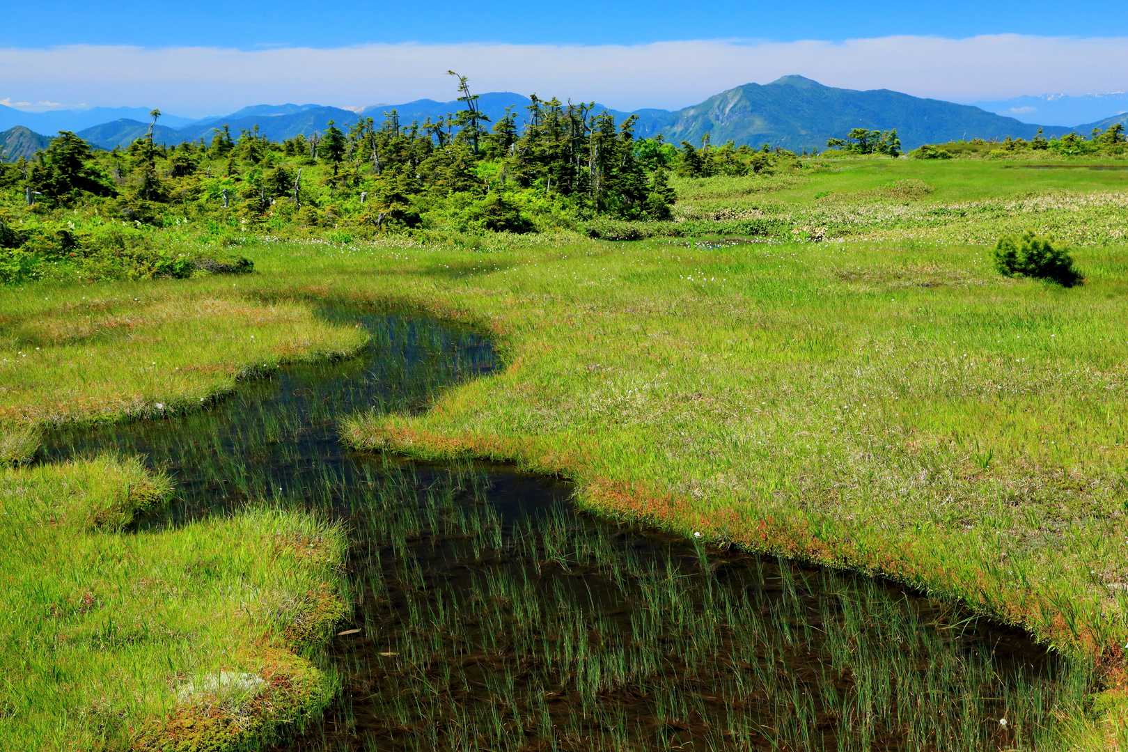 苗場山の写真