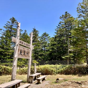 いつもの麦草峠から。