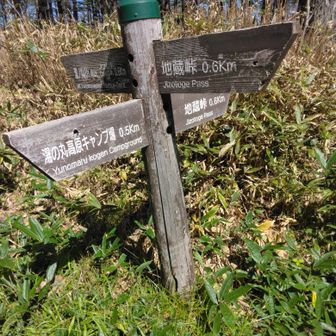 これは塗ってない
