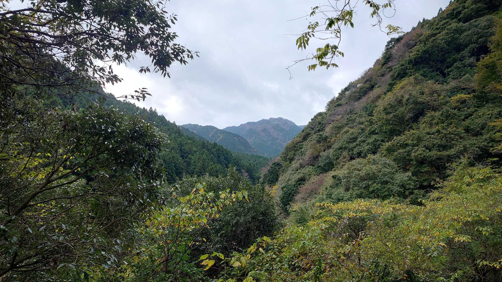 あの辺りでしょうか今日登った山