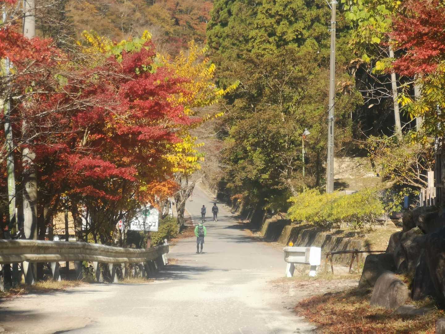 同じルートを歩く人達が何組か居ますね。
初めてのルートなので安心😊
いつもの様に、私は最後尾につける