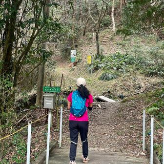 チーズパワーかロードを駆け下り
あっという間に獅子ヶ鼻コースまで
虫生の登山口から再びトレイル▶️
