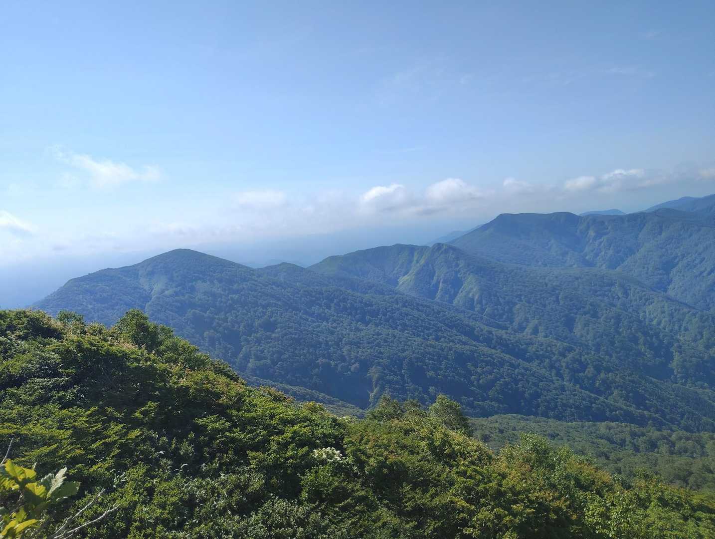 薬師岳-小杉山-小鷲倉-和賀岳 往復コースの写真