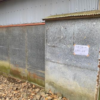 ここって…営業してたんですか…？