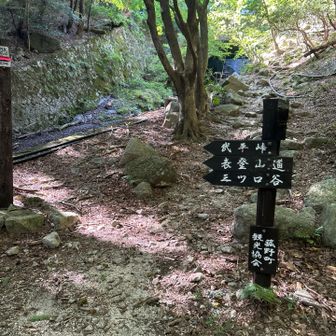 小道へ