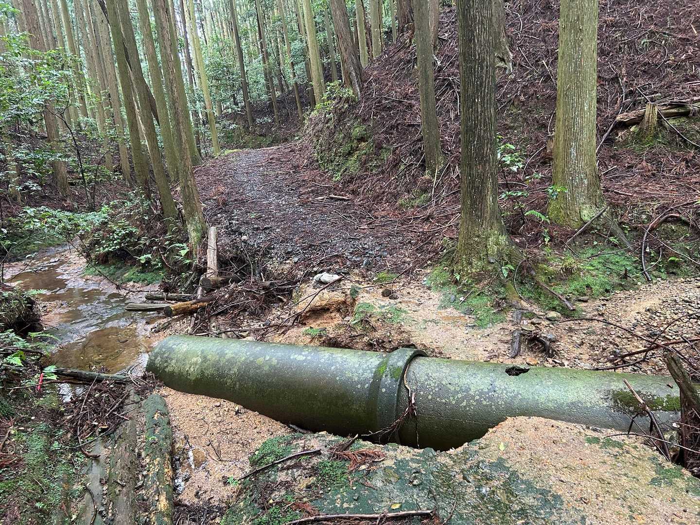 正規ルートに合流