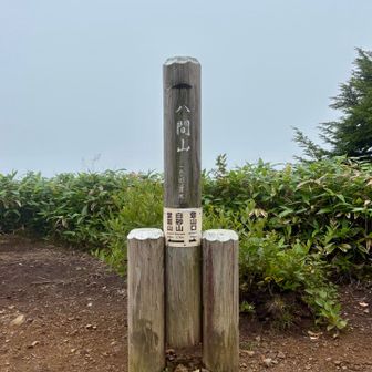 八間山に到着！
気持ち良いはずの稜線歩きは
最後まで眺望が残念
