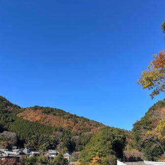 山が素敵な色合いに
下から見る山も良きです♪