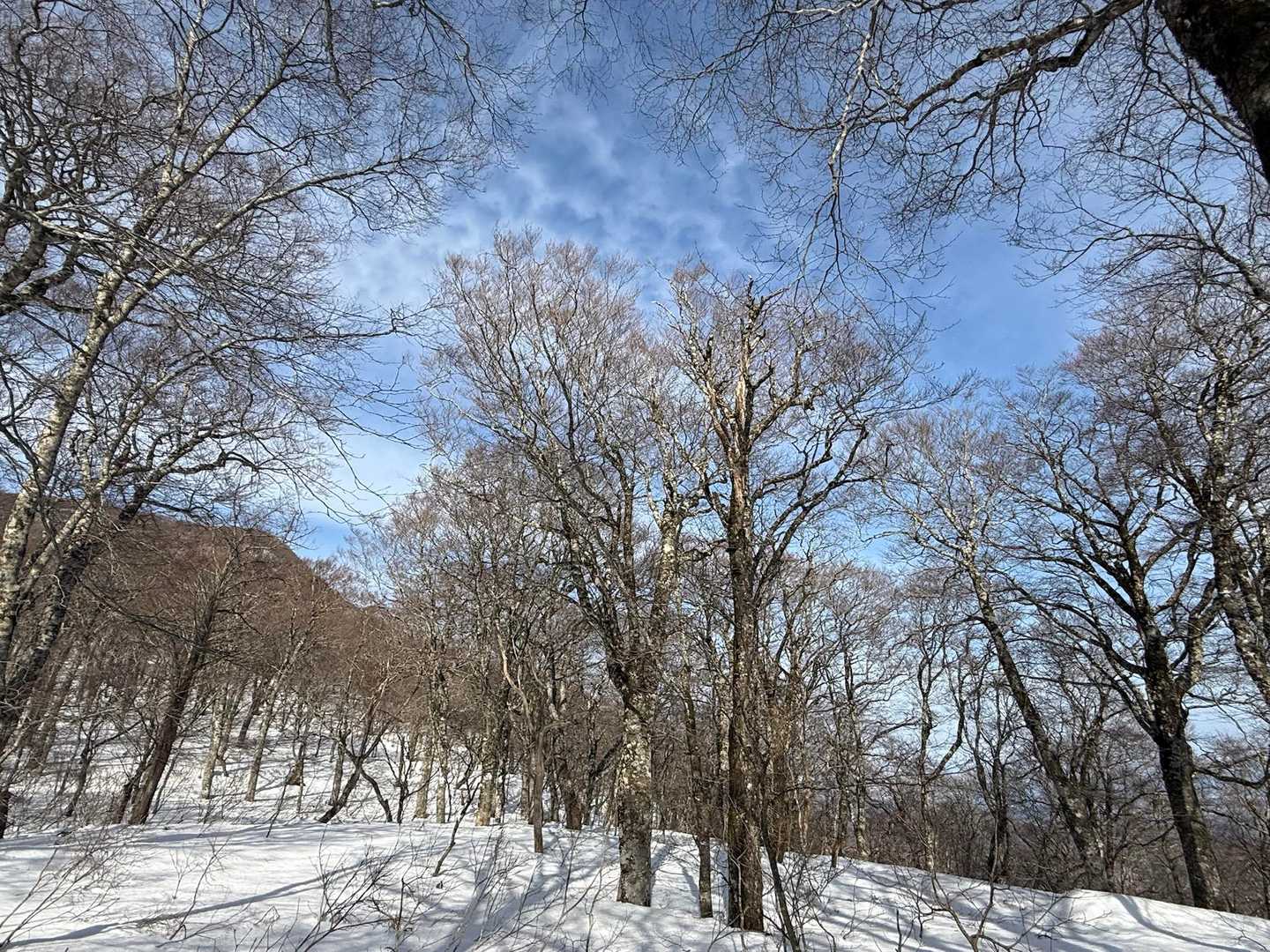 北泉ヶ岳 往復コースの写真