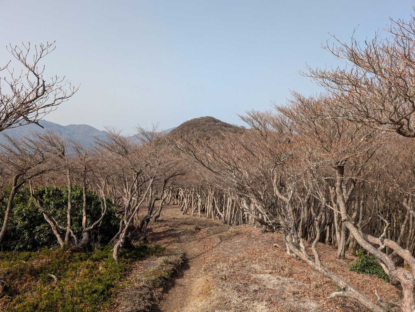 朝明登山口-釈迦ヶ岳最高点-釈迦ヶ岳-猫岳-羽鳥峰-金山- 周回コースの写真