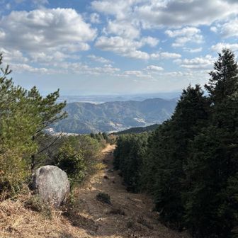 急登登って振り返る👀