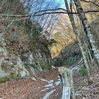 神奈川県の【浦安】🐭🏰🐭