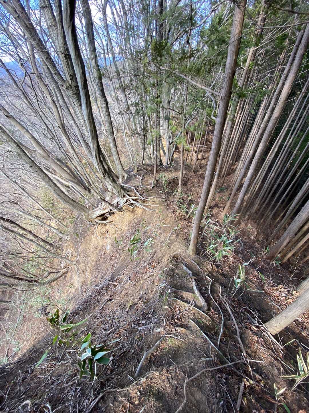 数ヶ所崩落⚠️