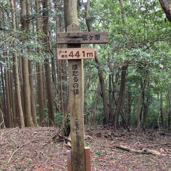 西側ハーフ最高地点441m