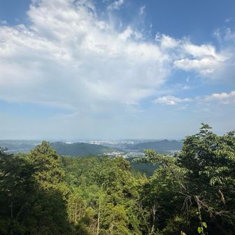 雨は上がりましたが雷鳴が聞こえます