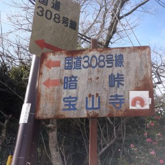 ここからがなが～い😆