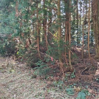 ここが取り付き、🅿️スペースもあるので 🚙でセコップできますね😆