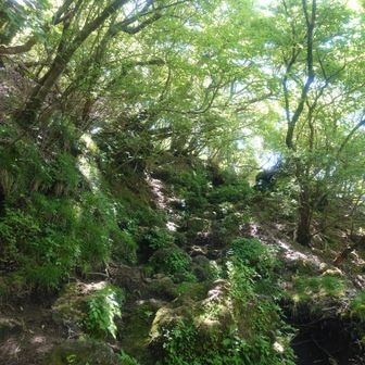 さぁ〜名残惜しいけど、続きはまだあるからスタンプを押して、くだりへ突入