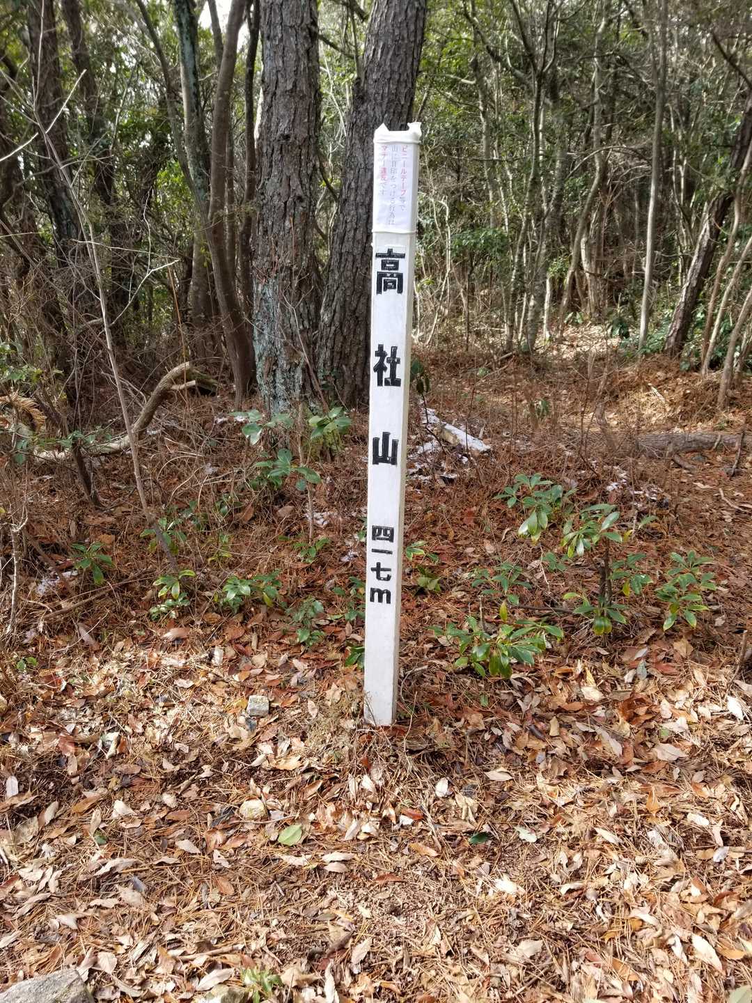 少し登って山頂とうちゃくぅ✨