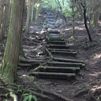 この階段は結構長い