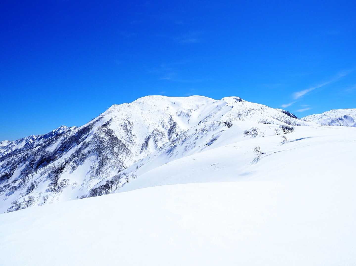 初雪山の写真