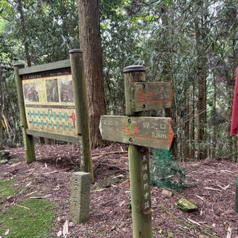 金胎寺まで引き返して、東海自然歩道を和束に向かう。