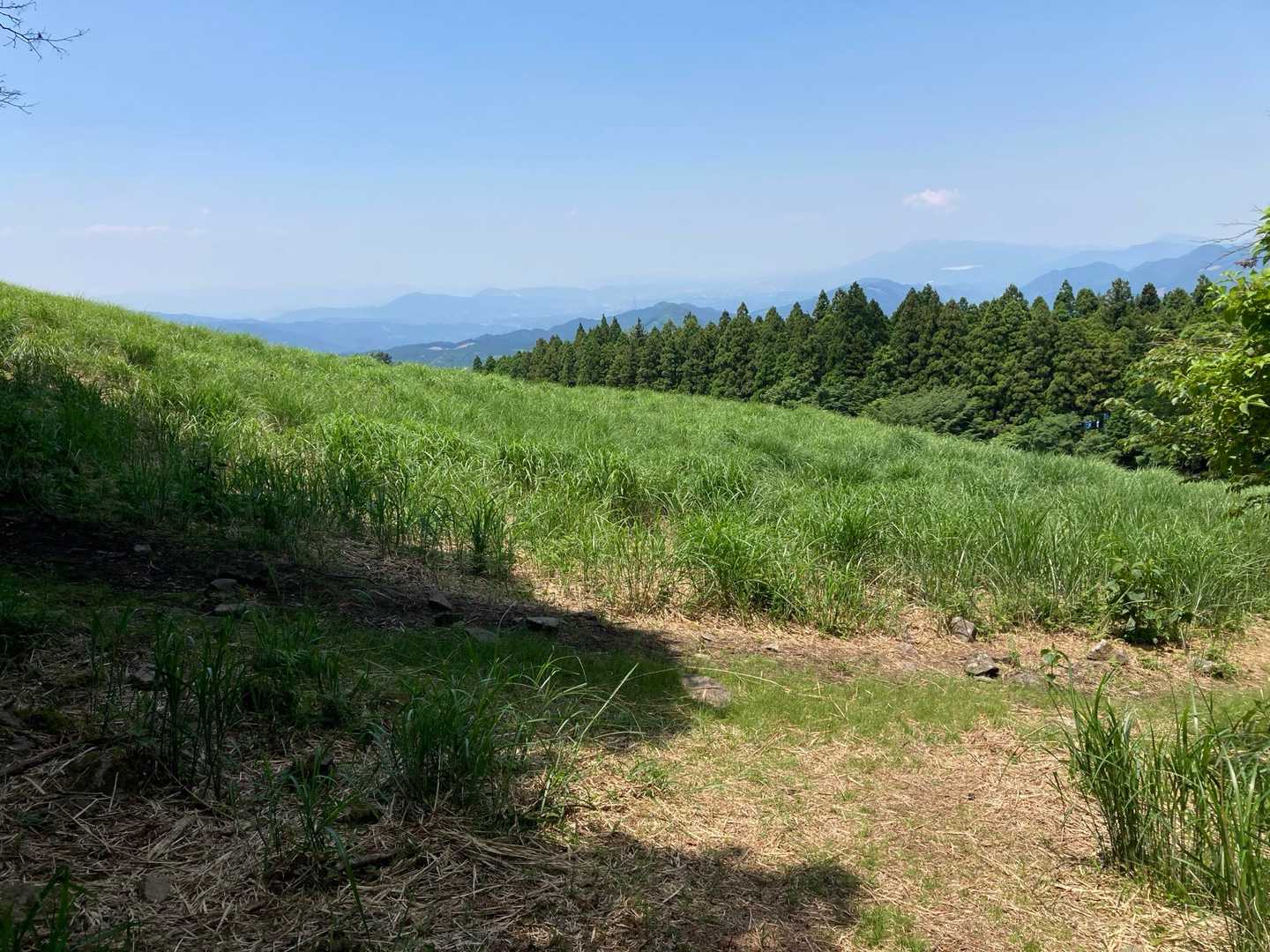 英彦山青年の家方面へ下山