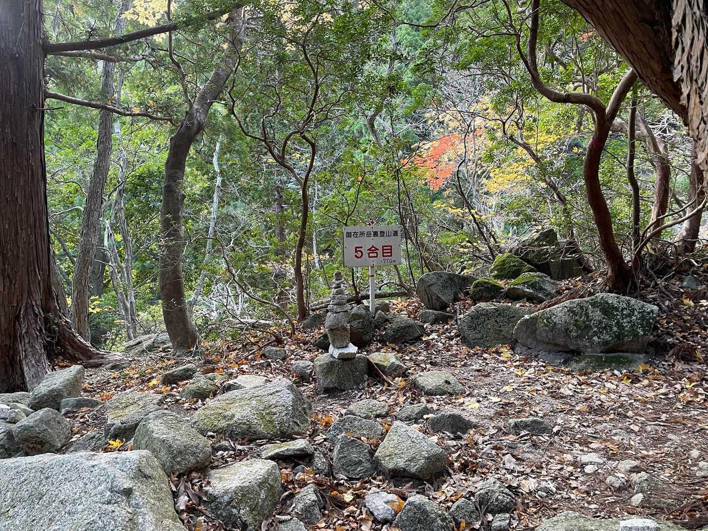 中登山口-御在所岳-国見峠 周回コースの写真