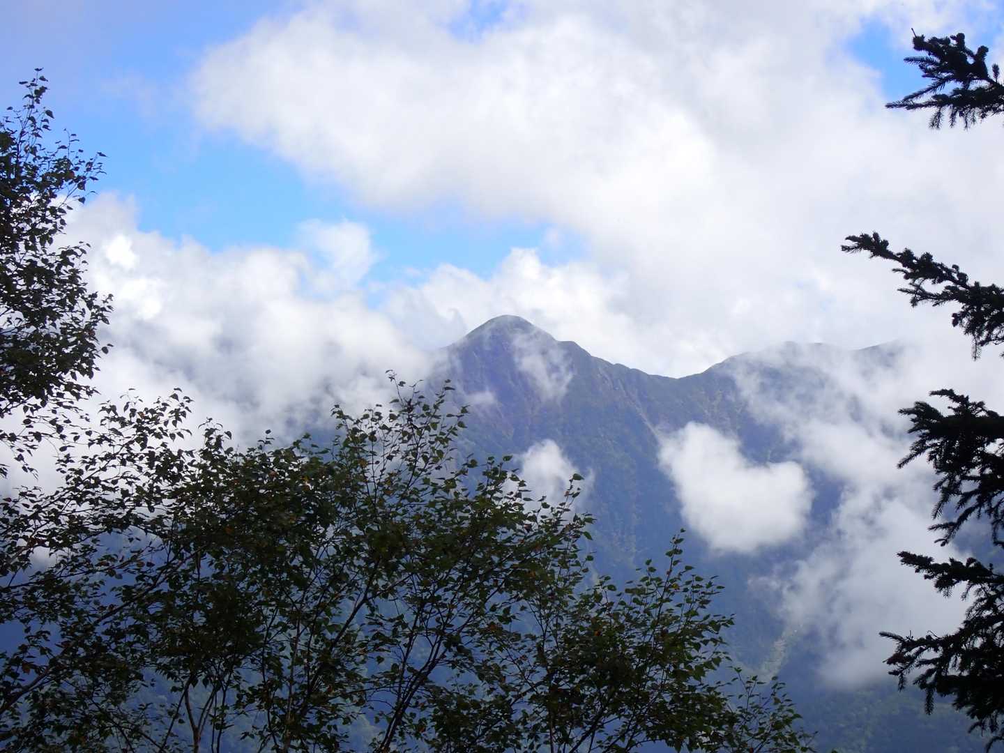 しらびそ峠-前尾高山-尾高山 往復コースの写真
