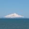 山本山