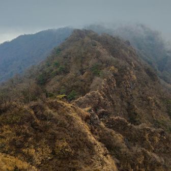 蓬莱山から、鋸岳の 稜線！
いょいょ、危険な 登山道に　突入！
曇天と、相まって
なンとも、禍々しい 不気味かつ不吉な、光景です　😱
足場の悪い、トラバースや
足掛かりの無い、急峻な岩壁を よじ登ります  💦
ロープは、苔蒸して
鎖⛓️は、サビサビに錆びて(一部区間、新しい鎖も 有りました)
老朽化、著しい

人には、お勧め出来ない コースです　💧
