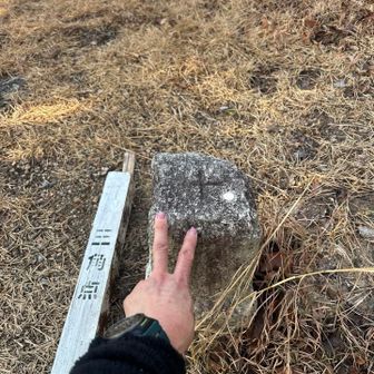 法隆寺の脇から矢田丘陵トレイルに入る
ピークはどこも眺望なく地味なのでピーク写真は割愛😅