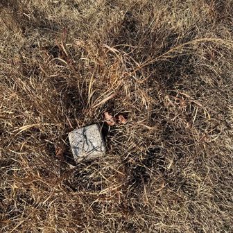 YAMAPの山頂は、この三角点だから気をつけて。