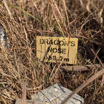 天気よくて爽快